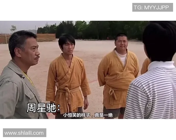 少林足球明星的精彩表现与影响力深度解析与评价